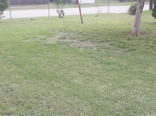 Cleanups by Gregory Kluetz for john f. in San Antonio, TX