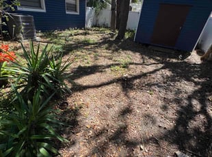 Leaf Removal by Carma Jones for Diego A. in Brandon, FL