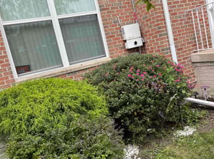 Bush Trimming by Lamar Copeland for Nathera M. in Baltimore, MD