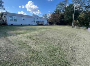 Vanessa H.'s Lawn Care service result