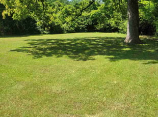 Susan S.'s Lawn Service service result