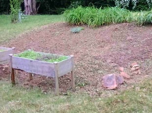 Cleanups by Martin Ortiz Cortez for Mark E. in Downingtown, PA