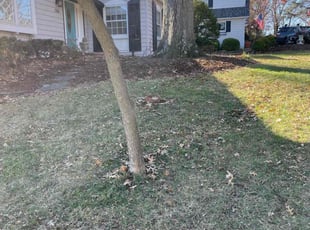 Leaf Removal by M Hibbits for David M. in St. Louis, MO