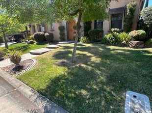 Nick K.'s Lawn Mowing service result