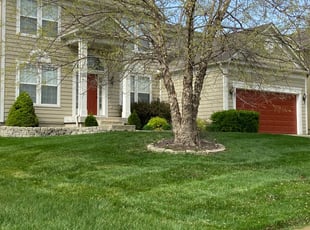Essie C.'s Lawn Service service result