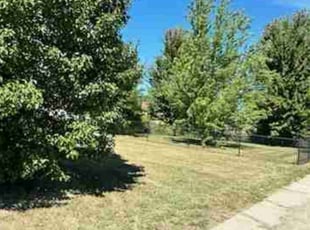 Brandon W.'s Lawn Mowing service result