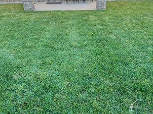 Sydney K.'s Lawn Maintenance service result