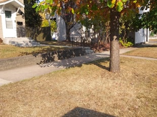 Leaf Removal by David Gallaway for Sharon R. in Saint Paul, MN