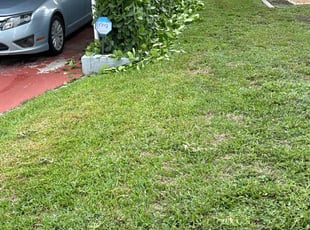 Bush Trimming by Jhon MarroquÃn for Michael D. in West Palm Beach, FL