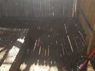 Cleanups by Carlos Mendoza for Cheri M. in Aurora, CO