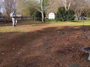 Leaf Removal by Derek and Leigh Robinson for Ryan G. in Charlotte, NC