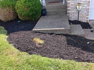 Mulching by Dontai Jackson for Audrey T. in Louisville, KY