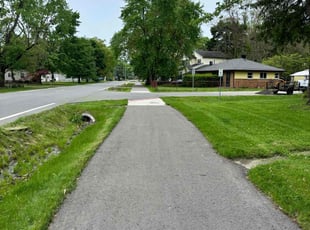 Rita W.'s Yard Cutting service result