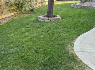 Michael G.'s Lawn Mowing Service service result