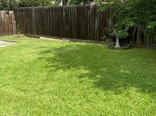 Nathaniel B.'s Lawn Maintenance service result