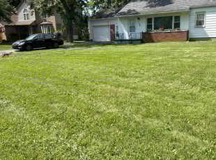 Tom S.'s Lawn Care service result