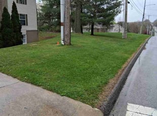 Aaron C.'s Lawn Service service result