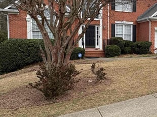 Bush Trimming by Daniel Burse for Clarissa R. in Smyrna, GA
