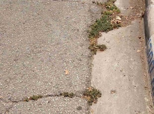Leaf Removal by Antonio Villasenor for Will A. in Houston, TX