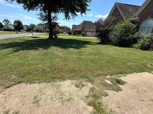 steve t.'s Lawn Mowing service result