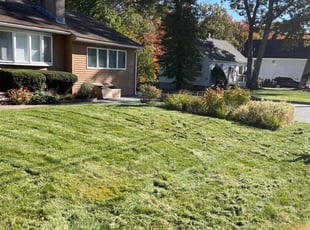 Elizabeth P.'s Lawn Care service result