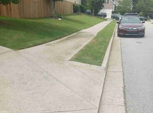Nancy M.'s Lawn Service service result