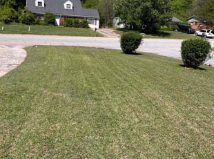 Janette N.'s Yard Cutting service result