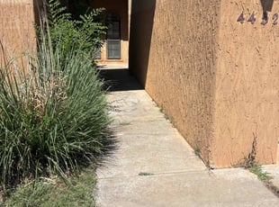 Lauren m.'s Bush Trimming service result