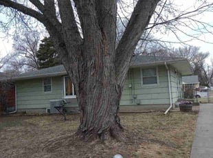 Leaf Removal by Connor Doyle for Saleban S. in Minneapolis, MN