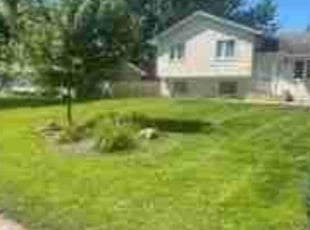 Jacob S.'s Lawn Mowing Service service result