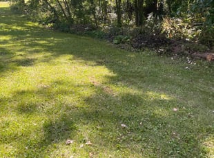 Leaf Removal by Zach Dangler for Jessica S. in Holt, MI