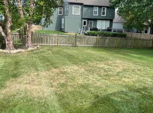 Leaf Removal by Scott Culala for Kuldeep S. in Overland Park, KS