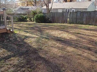 Leaf Removal by Charles Ridge for Kelly Q. in Mission, KS