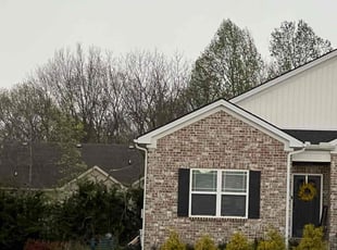 Antionette L.'s Lawn Service service result