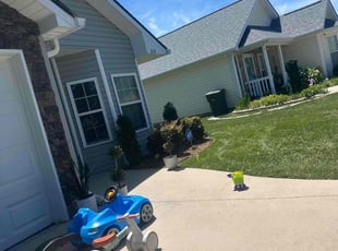 Debby L.'s Lawn Mowing service result