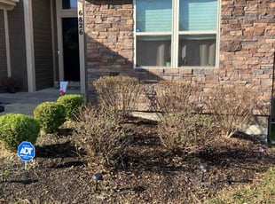 Bush Trimming by Damian Gray for Ali E. in Kansas City, MO