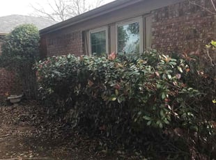 Bush Trimming by Gralin Johnson for Lisa T. in Arlington, TX