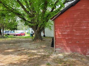 Leaf Removal by Ebone Alsup for Kevin-lee H. in Seaford, DE