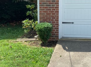 Weeding by David Kelly for Patricia K. in Lexington, KY