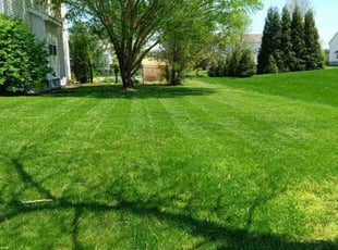 Holly K.'s Lawn Maintenance service result