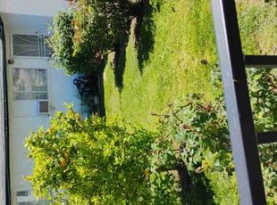 Chantel C.'s Lawn Care service result