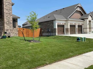 Sukriti K.'s Lawn Service service result