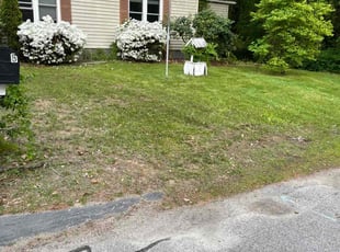 Bush Trimming by George Bruneau for Mark C. in Seabrook, NH