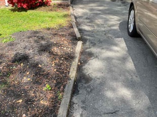 Leaf Removal by Chris Thomas for Alexis G. in Richmond, VA