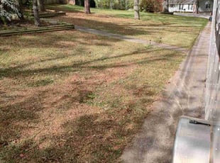 Leaf Removal by Javier Gaddis for Destinie j. in Alabaster, AL