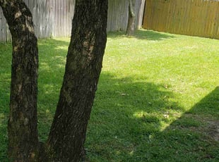 Karen K.'s Grass Cutting service result