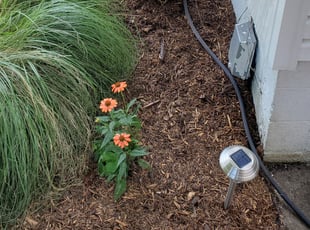 Mulching by Danielle Patterson for Wendy E. in Virginia Beach, VA