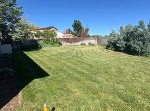Federico P.'s Lawn Service service result