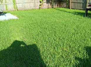 Karen H.'s Lawn Service service result