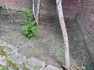 Cleanups by Gilberto Nava for Christie L. in Brentwood, TN